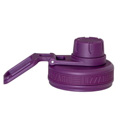 Lizzard Spout Lid Egg plant