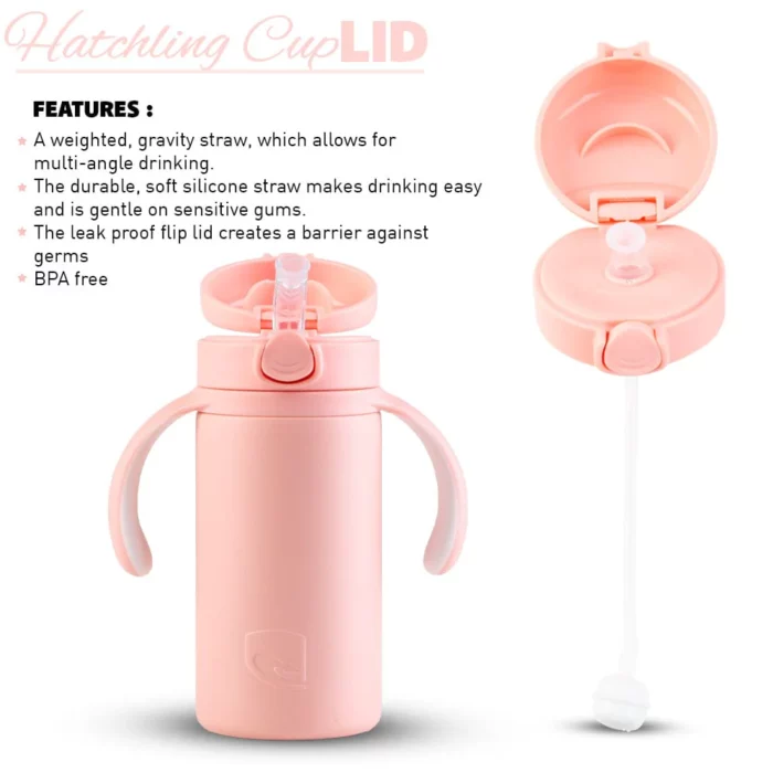 Hatchling - Kids Flask 280Ml - Image 15